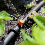 Полив микродождевой "Жук" для кустарников и деревьев, на 20 растений