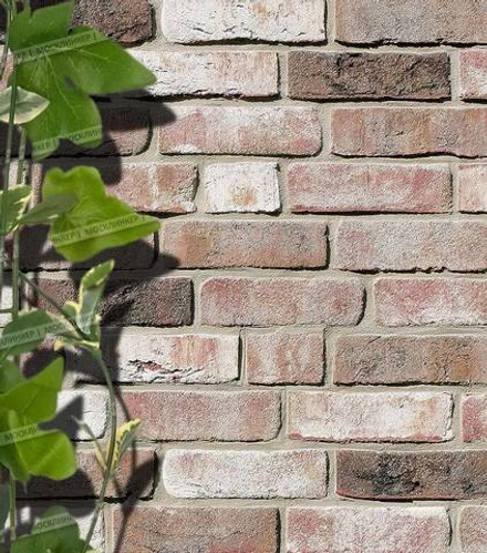 Roben - Geestbrand, felsgrau, NF14, 240x14x71 - Клинкерная плитка для фасада и внутренней отделки