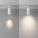 Трековый светильник Technical TR212-1-12WTW-DS-Z-W