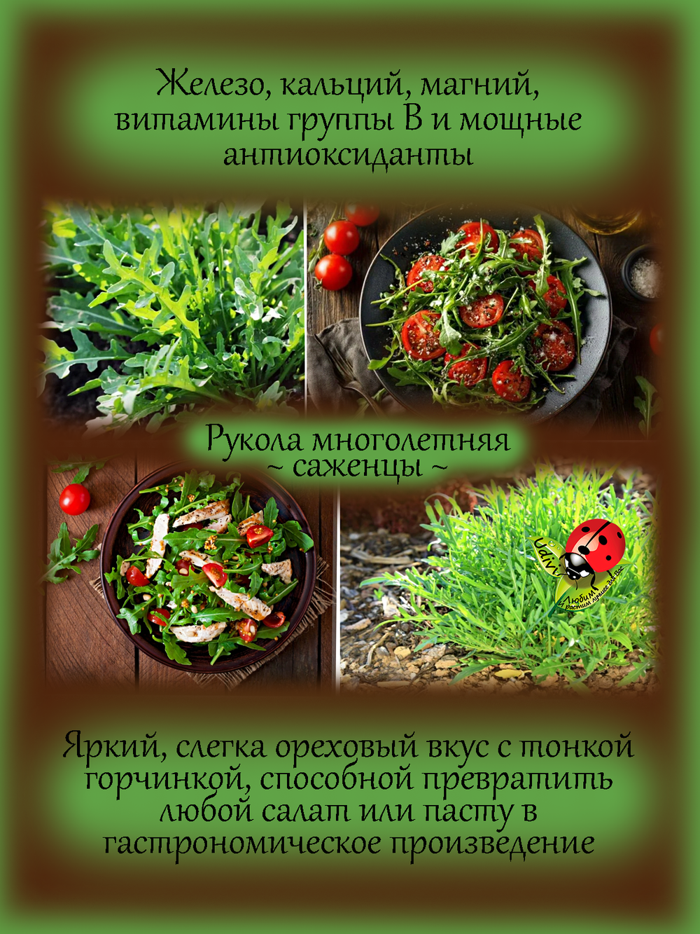 Рукола многолетняя