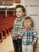 Рубашка нарядная с бабочкой