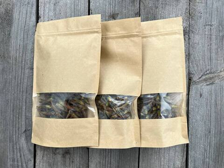 Тополиные почки