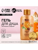 Гель для душа ЧИСТОЕ СЧАСТЬЕ, 300 мл, аромат пряный эль, Нов