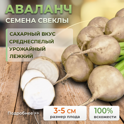 АВАЛАНЧ семена свеклы (Bejo | Alexagro)