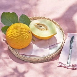 La Porcellana Bianca - Корзина Мидоллино 25см для тарталетки / артикул   P600000013  / GTIN 8027549073809