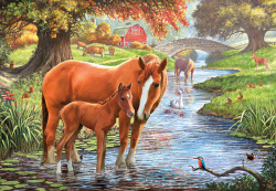 Коллекция Животные