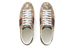 Gucci Ace (Женская размерная сетка)