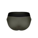 Мужские трусы брифы темно-серые DARKZONE DZNBM6310