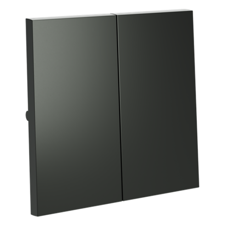 Клавиши для выключателя/переключателя двухклавишного, S70 (титан)