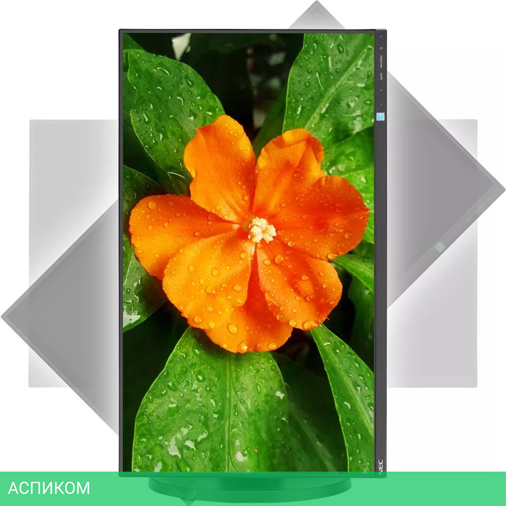 Монитор NEC MultiSync E271N-BK