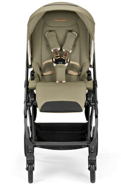 Детская коляска Inglesina Electa System Duo 2 в 1 2024 Dumbo Caramel