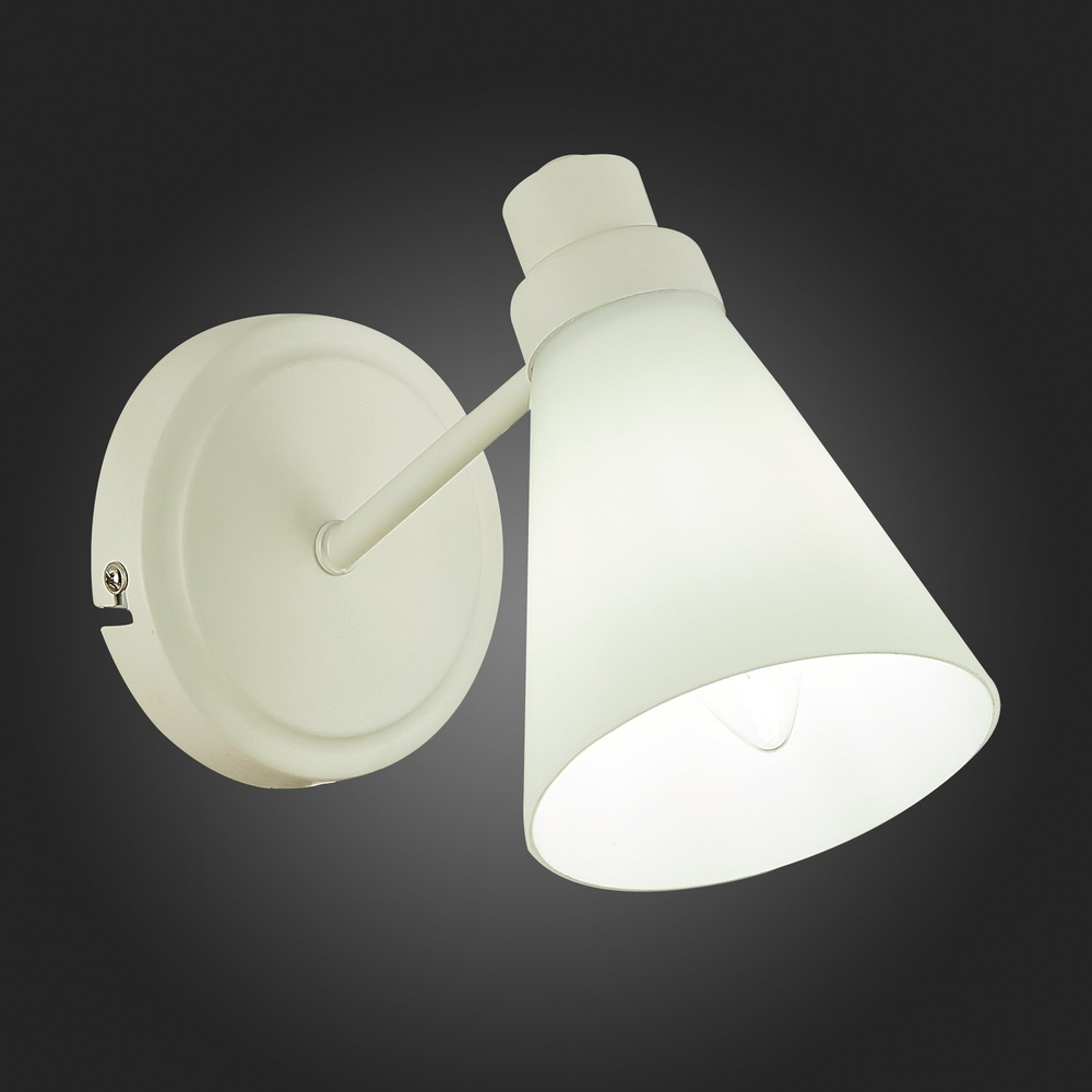 Светильник настенный Evoluce Biane SLE103501-01