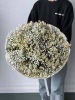 Букет сборный из ромашки и гипсофилы в белом оттенке