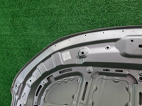 Капот Geely Coolray (2019-2024)