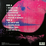 Foo Fighters / Medicine At Midnight (LP)