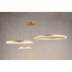 Подвесная люстра Aployt TERENIA APL.024.03.136