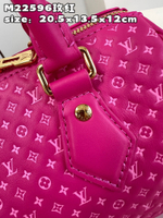 Louis Vuitton Speedy 20