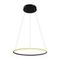Подвесной светодиодный светильник Arte Lamp A2500SP-1BK