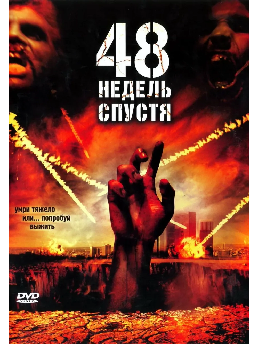 48 недель спустя (2006) (DVD-R)