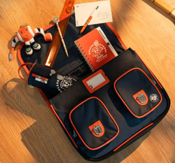 Рюкзак теннисный Roland Garros Gibeciere - navy blue