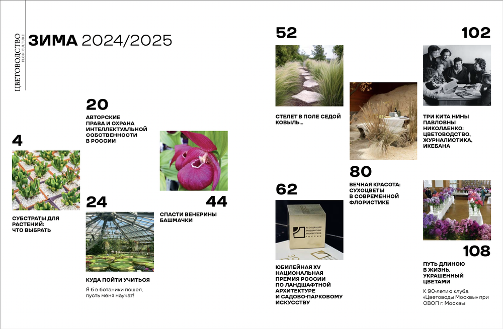 Цветоводство ЗИМА 2024/25