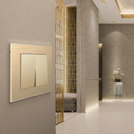 Рамка Werkel Aluminium на 1 пост шампань алюминий W0011711 4690389158001