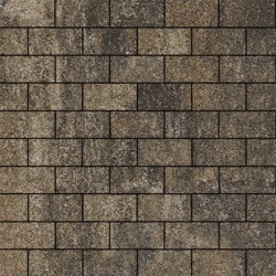 Тротуарная плитка ПРЯМОУГОЛЬНИК 200x100 мм - Листопад гранит Старый замок