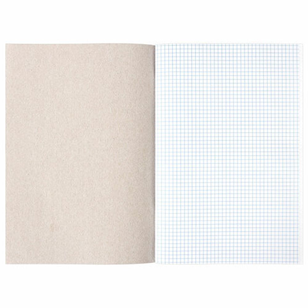Книга учета 96 л., клетка, обложка из мелованного картона, блок офсет, А4 (200х290 мм), STAFF, 130187