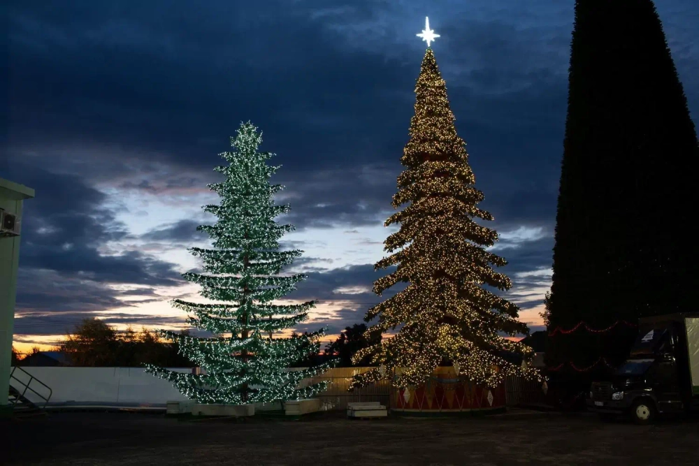Уличная светодинамическая елка Лесная зеленая 16 м., ствольная, Литая, Green Trees (GT16LESPELED)