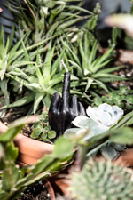 Возмездие. Колдовская свеча