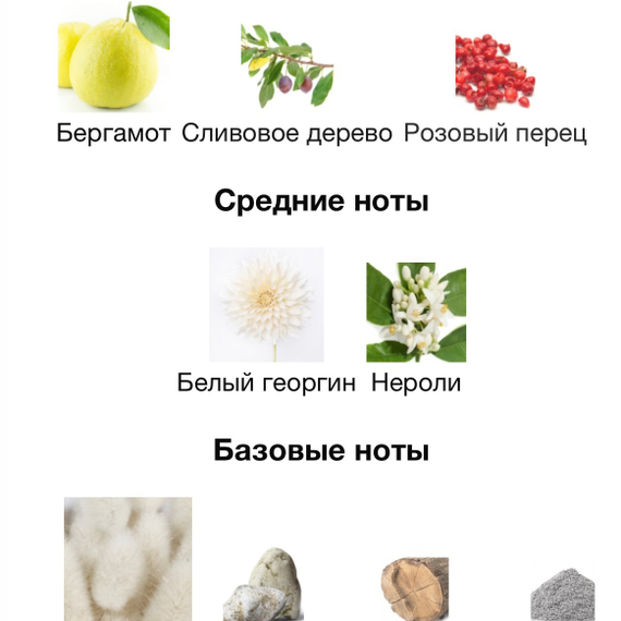 HAUTE FRAGRANCE COMPANY SunMusk