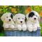 Puzzle Cuddly Puppies 200 pcs