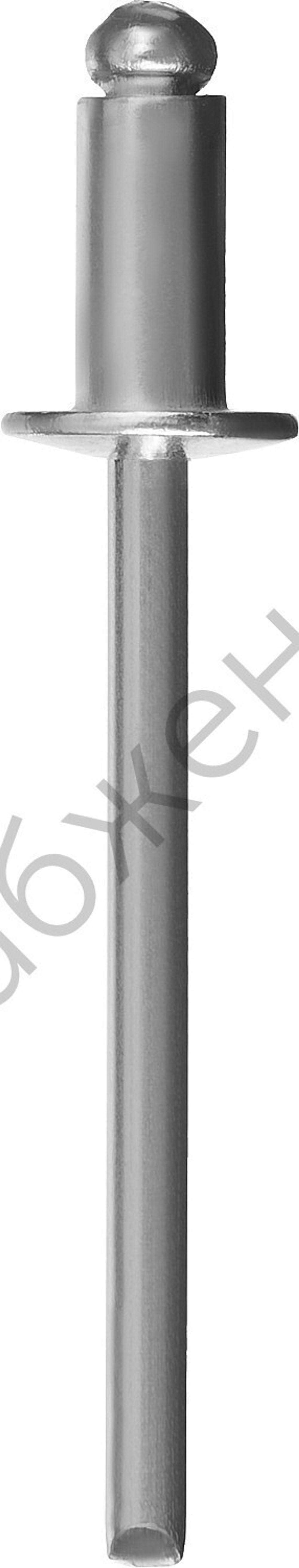 ЗУБР 4.0 х 6 мм, алюминиевые заклепки, 1000 шт, Профессионал (31310-40-06)