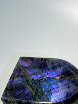 Срез Лабрадора M