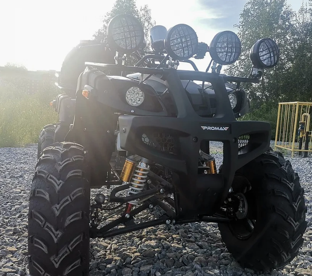 Квадроцикл PROMAX LEO 300 Max (кардан)