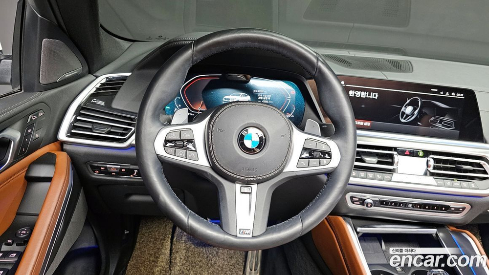 BMW X6 (G06) xDrive30d M Sports (10.2021)