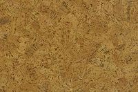 Eco Cork Home