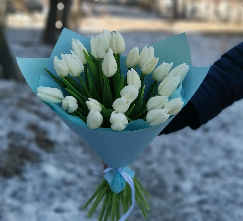 25 тюльпанов в упаковке