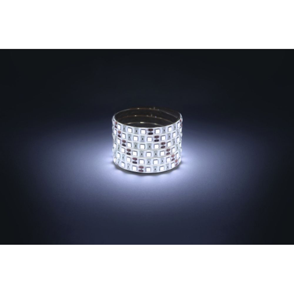 Светодиодная лента ЭРА LS5050-14,4-60-12-6500K-IP65-2year-5m холодный белый