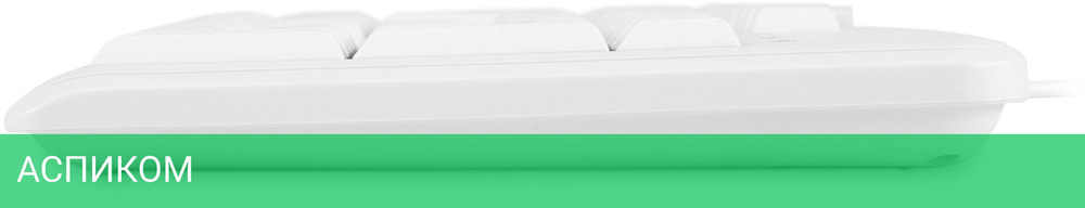 Клавиатура Oklick 305M USB белый (1875227)