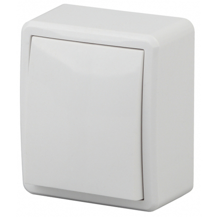 Выключатель ЭРА Эксперт 11-1201-01 10АХ-250В IP20 ОУ белый