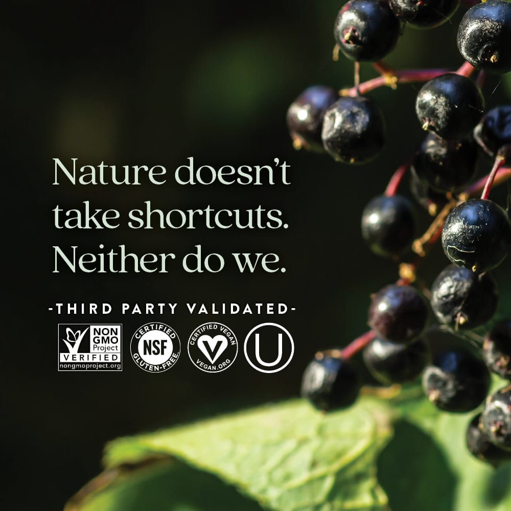 New Chapter, Elderberry Force™, 60 веганских капсул