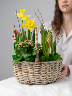 Дыхание весны