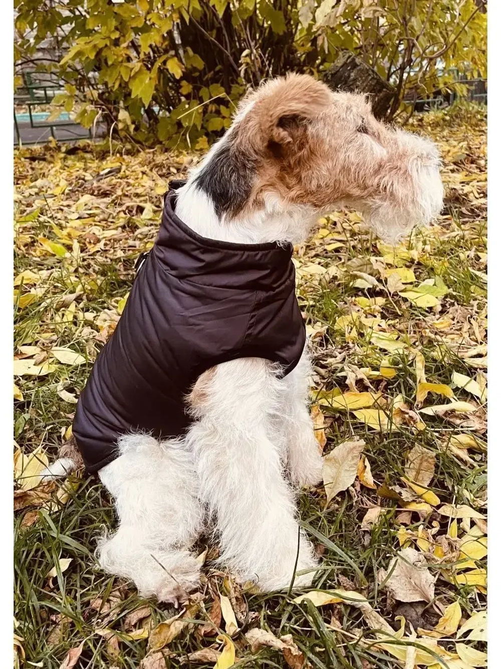 Жилет для собак мелких средних крупных пород