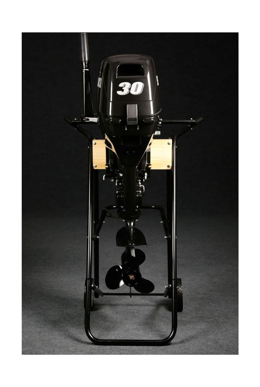 2х-тактный лодочный мотор SUZUKI DT30S