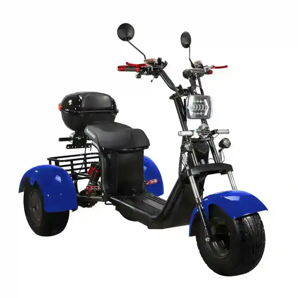 Электроскутер SKYBOARD CITYCOCO TRIKE BR40-3000 PRO FAST OFF-ROAD