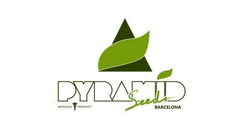 Wembley x Mendocino fem