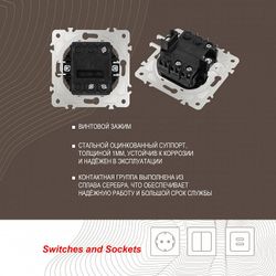 Выключатель проходной одноклавишный с подсветкой без рамки Arte Milano 202 202.33-1.shampan