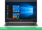 Ноутбук HP ProBook 445 G7 (1F3K8EA)