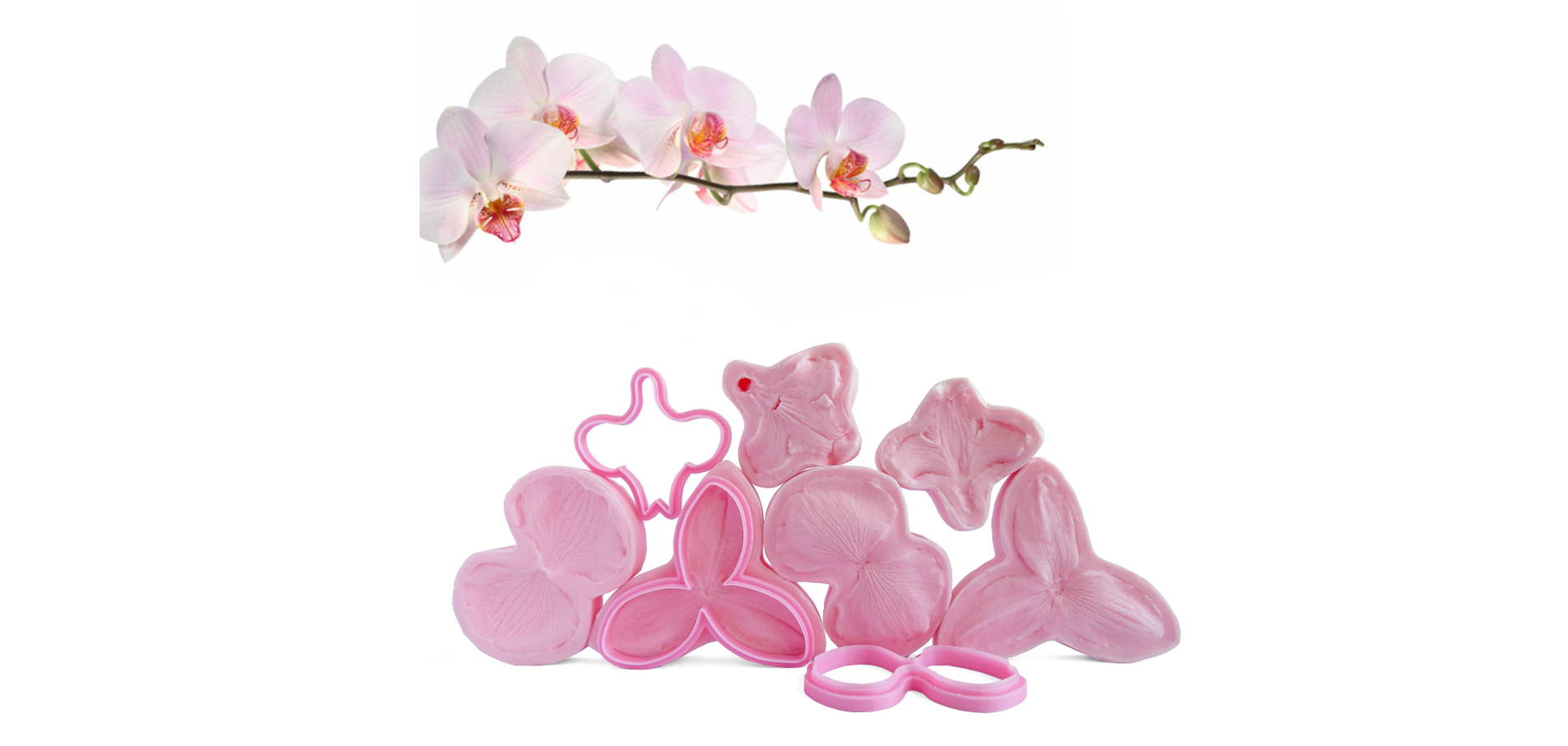 Орхидея Фаленопсис S